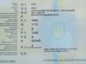 Изображение Kia Rio